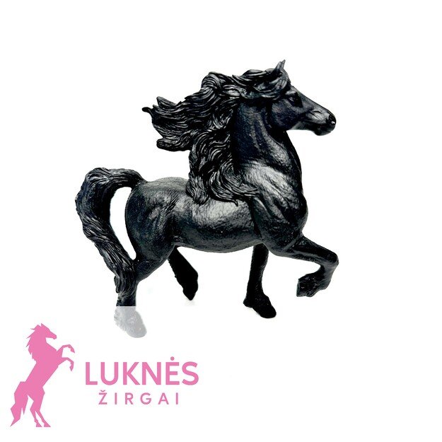 ŽAISLINIS ŽIRGAS NAKTIES TAMSA