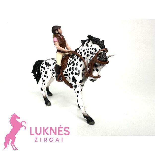 ŽAISLINIS ŽIRGAS SU RAITELIU