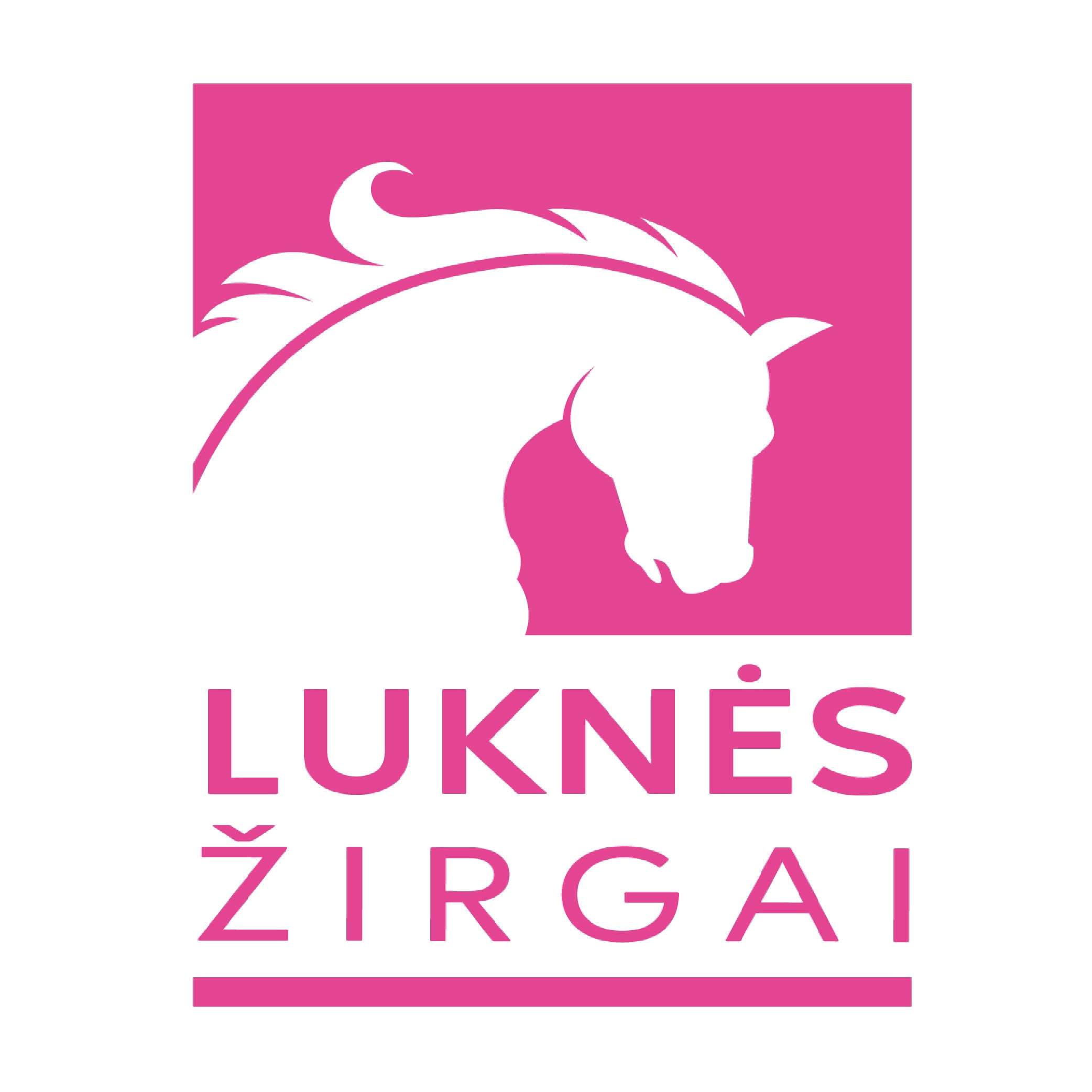 LUKNĖS ŽIRGAI